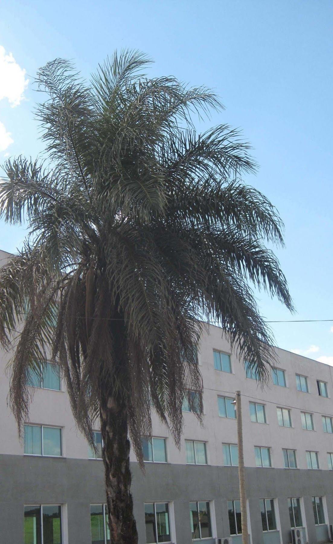 Hotel Mirante Sao Bras São Brás do Suaçuí Exteriér fotografie